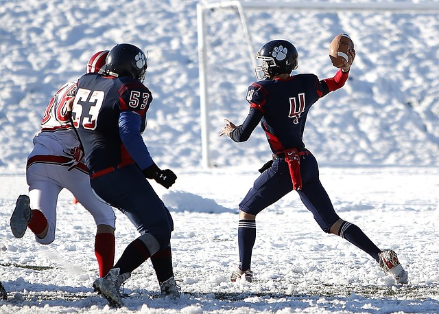 巴黎圣日耳 巴黎圣日耳