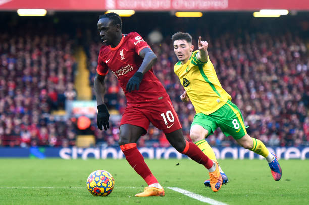 高层和教练 高层和教练